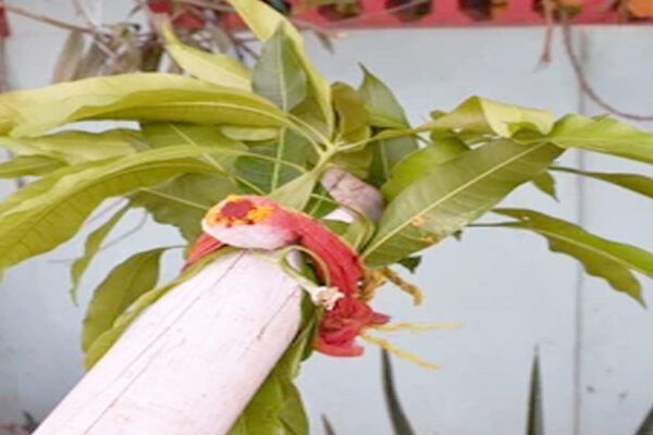 Muhurthakaal.jpg