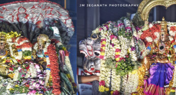 சித்திரைத் திருவிழா – முதல் நாள் கற்பக விருட்சம் மற்றும் சிம்ம வாகன வீதி உலா