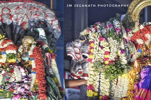 Chithirai Thiruvizha – Day 1 Karpaga Vruksham and Simma Vahanam