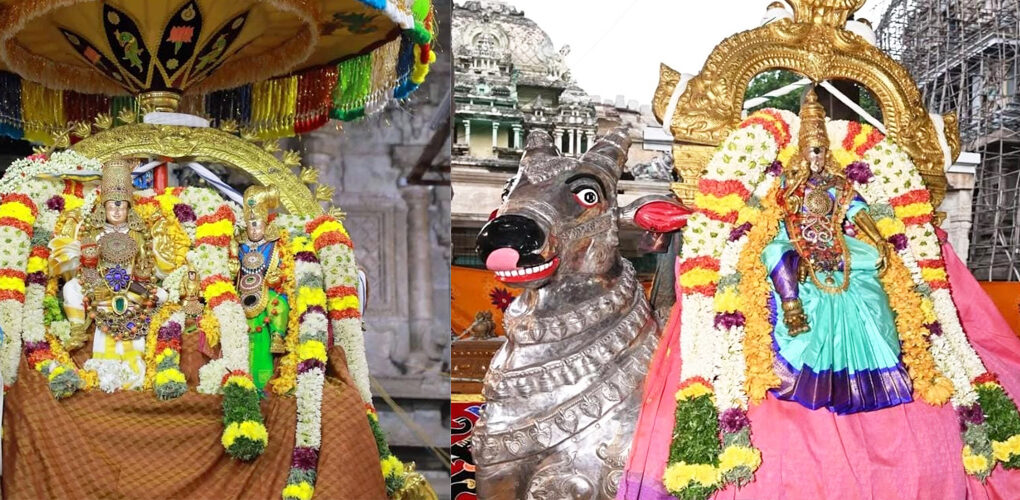 Chithirai Festival – 6th Day Evening Golden Rishabha Vahanam.jpg