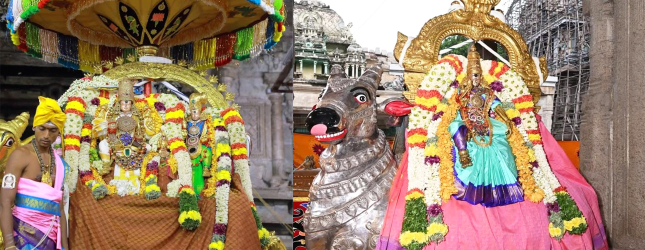 Chithirai Festival – 6th Day Evening Golden Rishabha Vahanam.jpg