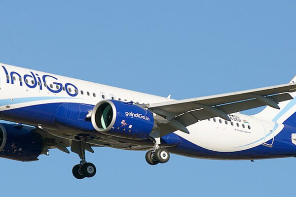 indigo.jpg