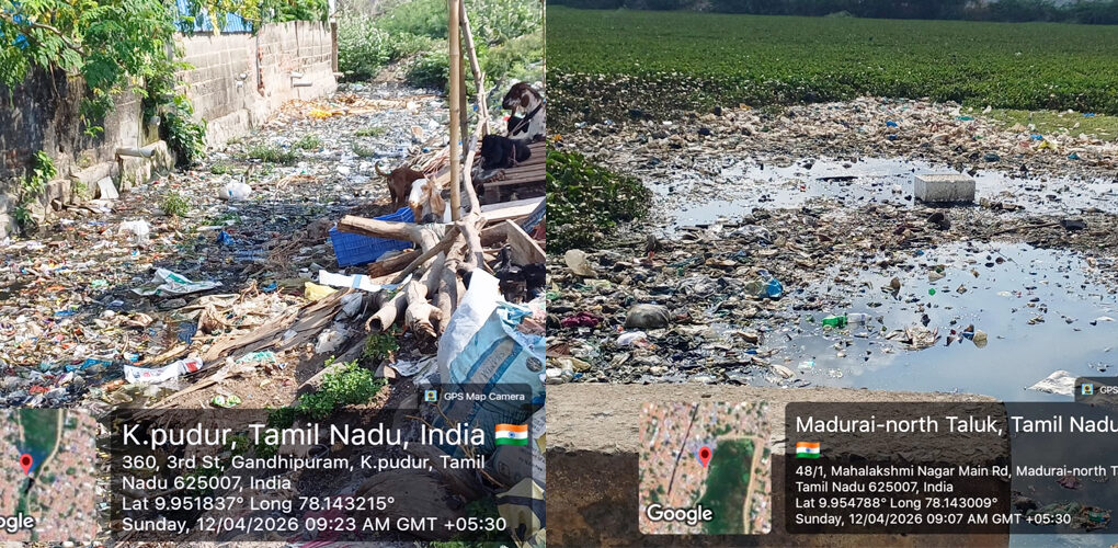 madurai_kosakulam.jpg