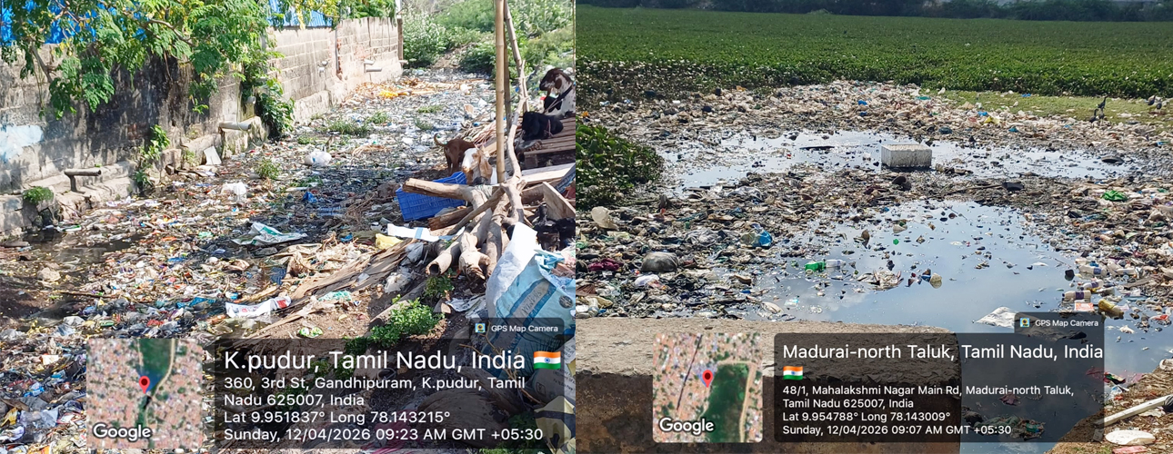 madurai_kosakulam.jpg