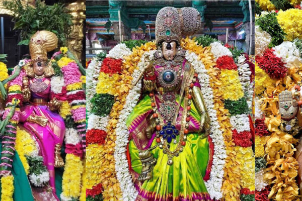 meenakshi.jpg