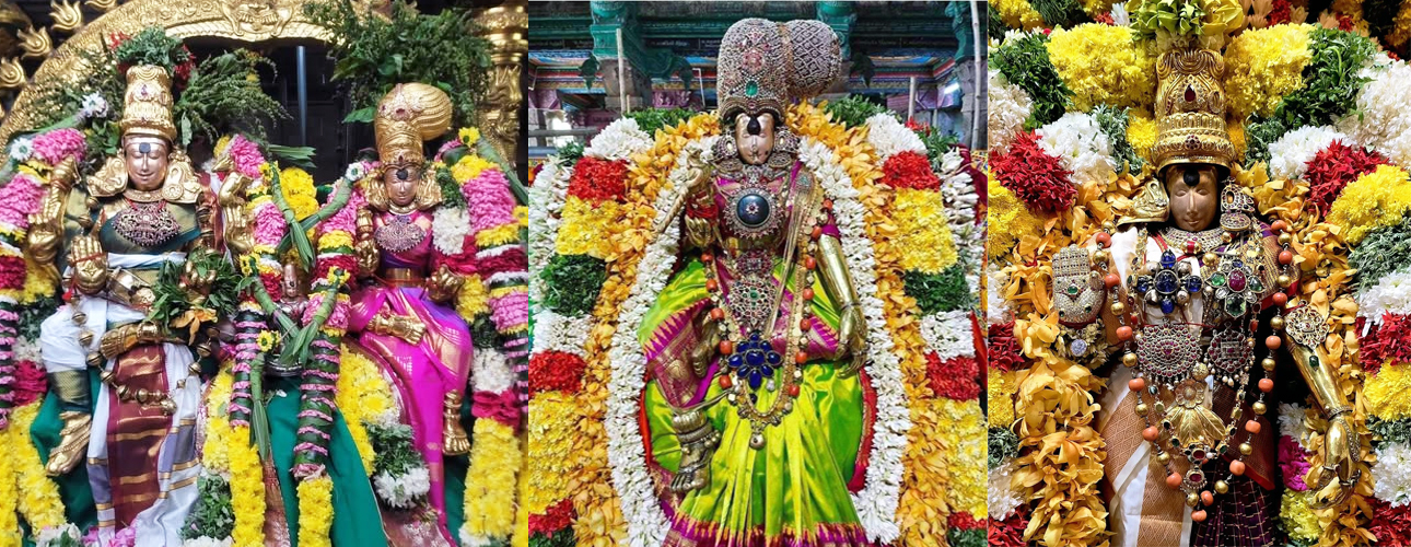 meenakshi.jpg